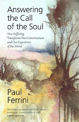 Book cover for Answering the Call of the Soul