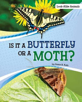 Book cover for Is it a Butterfly or a Moth