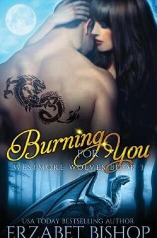 Cover of Burning For You