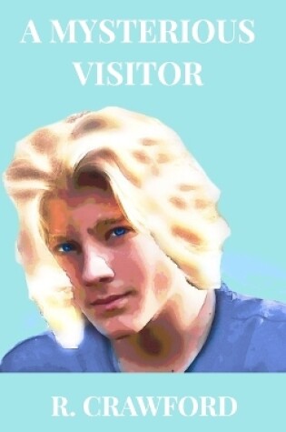 Cover of A Mysterious Visitor