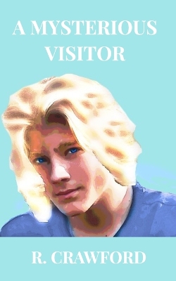 Book cover for A Mysterious Visitor