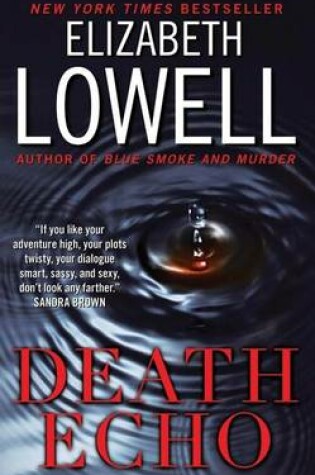 Cover of Death Echo