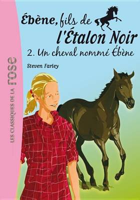 Book cover for Ebene, Fils de L'Etalon Noir 02 - Un Cheval Nomme Ebene