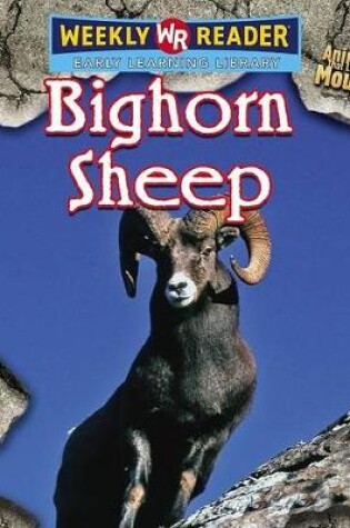 Cover of Bighorn Sheep