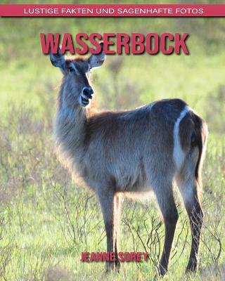 Book cover for Wasserbock
