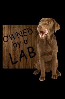 Book cover for Owned by a Lab
