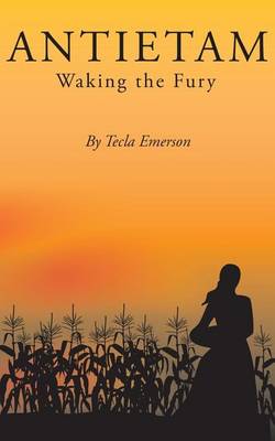 Book cover for Antietam - Waking the Fury