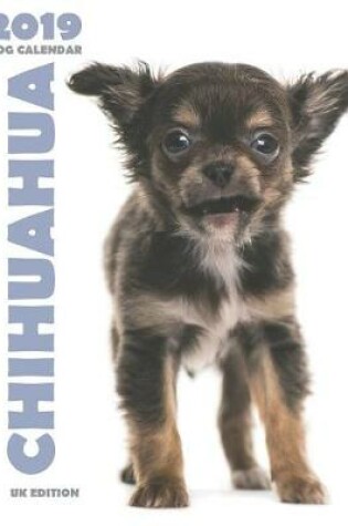 Cover of Chihuahua 2019 Dog Calendar (UK Edition)