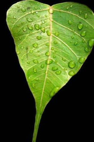 Cover of Bodhi Leaf Notebook