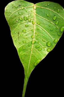 Book cover for Bodhi Leaf Notebook