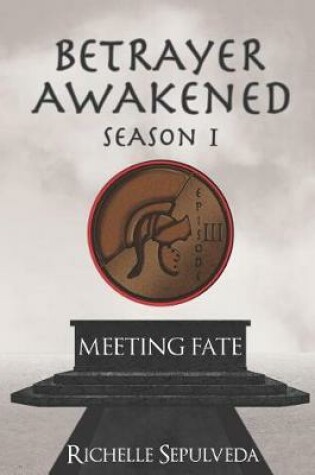 Cover of Meeting Fate