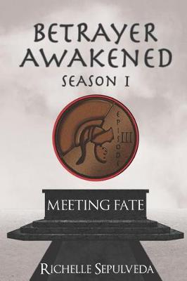 Book cover for Meeting Fate