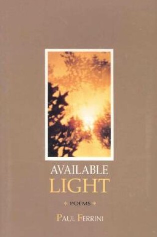 Cover of Available Light