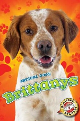 Cover of Brittanys