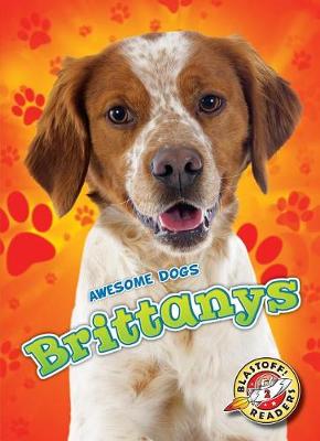 Cover of Brittanys