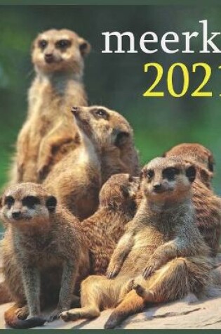 Cover of meerkat