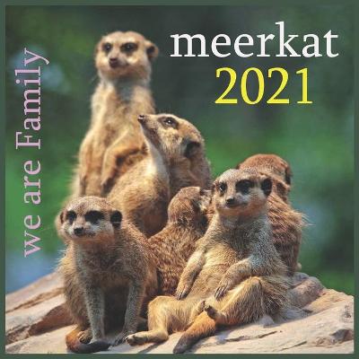 Book cover for meerkat