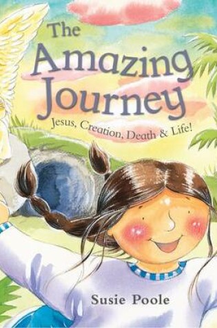 Cover of The Amazing Journey