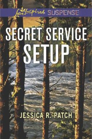 Cover of Secret Service Setup