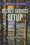 Book cover for Secret Service Setup