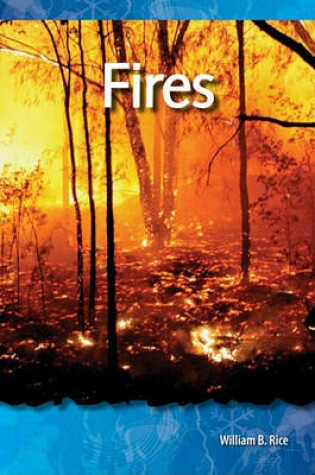 Cover of Fires