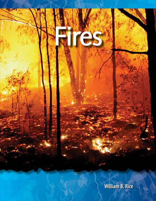 Book cover for Fires