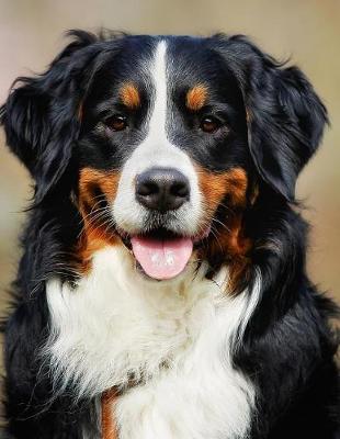 Book cover for Bernese Mountain Dog Notebook