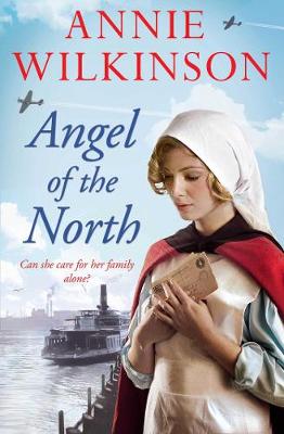 Book cover for Angel of the North