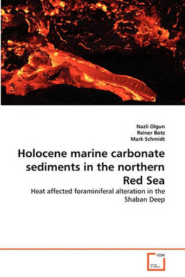 Book cover for Holocene marine carbonate sediments in the northern Red Sea