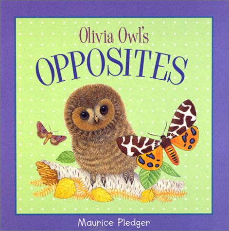 Book cover for Olivia Owl's Opposites