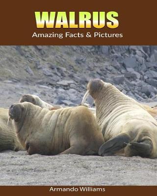 Book cover for Walrus