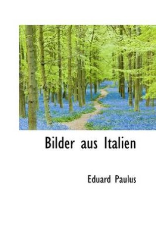 Cover of Bilder Aus Italien