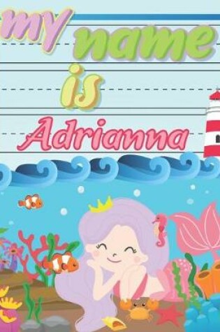 Cover of My Name is Adrianna