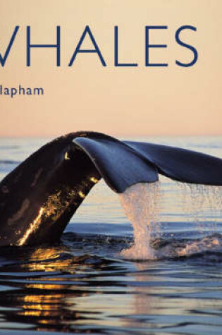 Cover of Whales