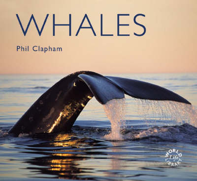 Cover of Whales