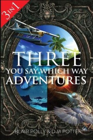 Cover of Three You Say Which Way Adventures