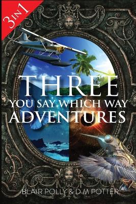 Book cover for Three You Say Which Way Adventures