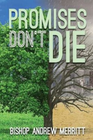 Cover of Promises Don't Die