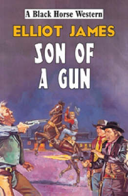 Book cover for Son of a Gun