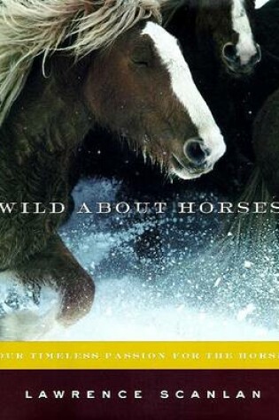Cover of Wild about Horses