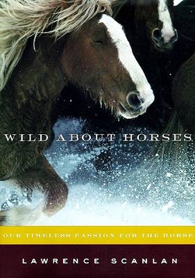 Book cover for Wild about Horses