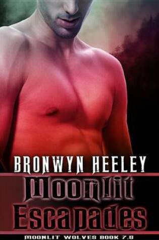 Cover of Moonlit Escapades