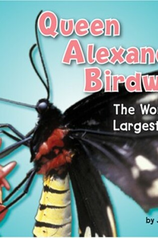 Cover of Queen Alexandra Birdwing