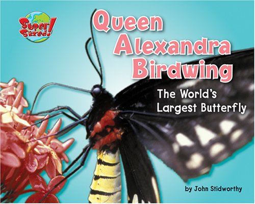 Cover of Queen Alexandra Birdwing