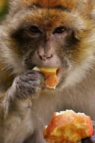 Cover of Barbary Macaque Agrees That Apples Taste Good Journal