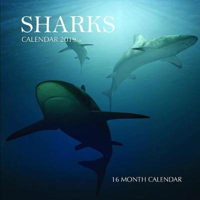 Book cover for Sharks Calendar 2019