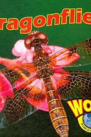 Cover of Dragonflies