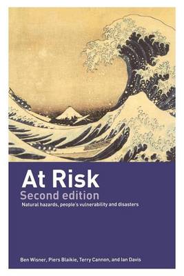 Book cover for At Risk II