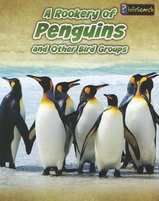 Book cover for Animals in Groups Rookery of Penguins and Other Bird Groups