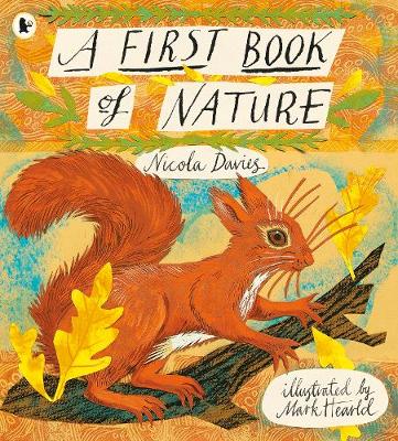 Book cover for A First Book of Nature